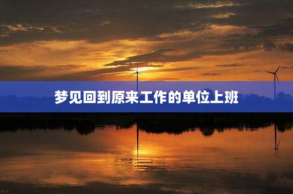 梦见回到原来工作的单位上班