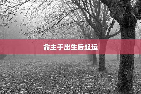 命主于出生后起运