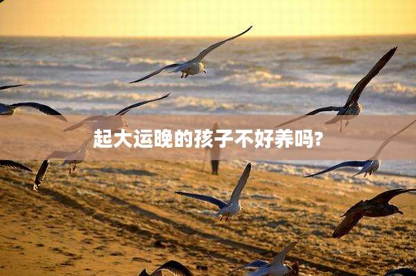 起大运晚的孩子不好养吗?