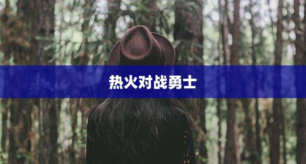 热火对战勇士