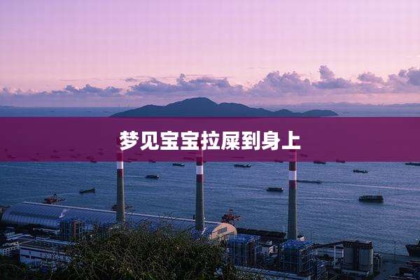 梦见宝宝拉屎到身上