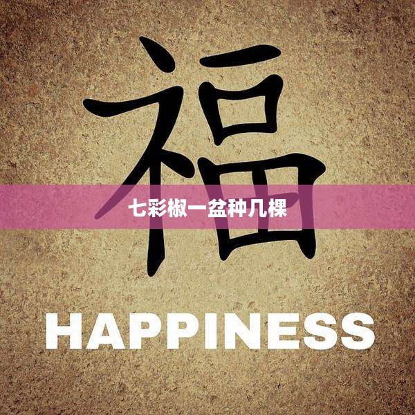 七彩椒一盆种几棵