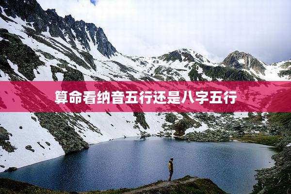 算命看纳音五行还是八字五行