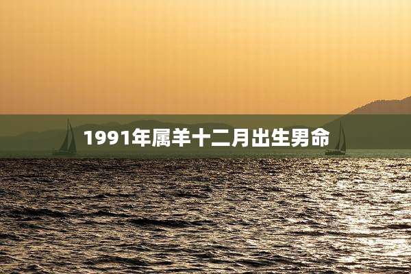 1991年属羊十二月出生男命