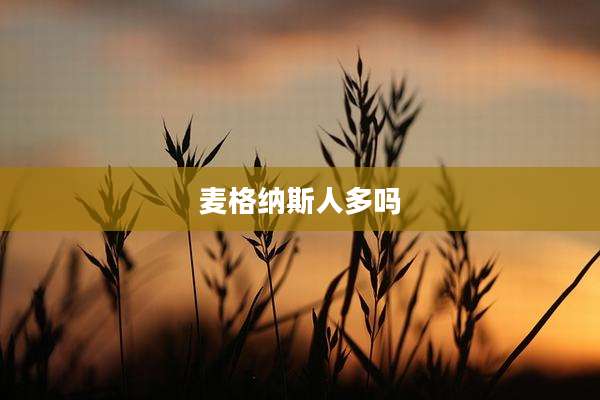 麦格纳斯人多吗