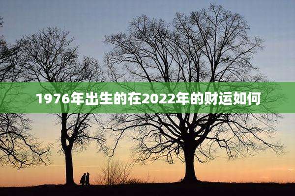 1976年出生的在2022年的财运如何
