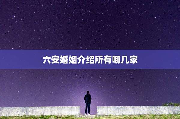 六安婚姻介绍所有哪几家