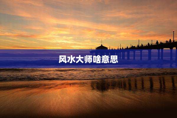 风水大师啥意思