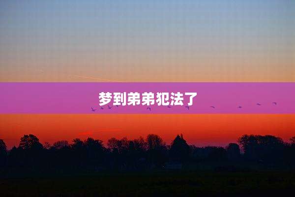 梦到弟弟犯法了