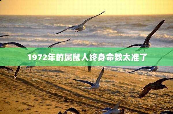 1972年的属鼠人终身命数太准了