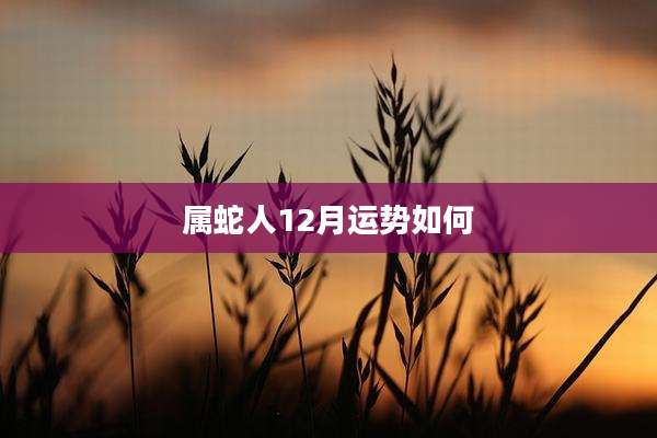 属蛇人12月运势如何