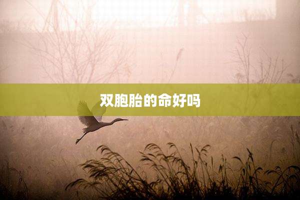 双胞胎的命好吗
