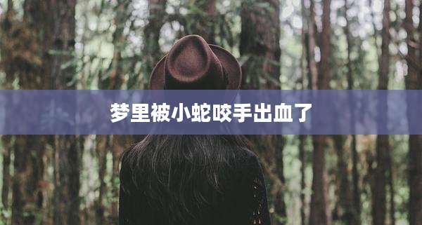 梦里被小蛇咬手出血了