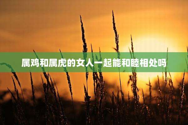 属鸡和属虎的女人一起能和睦相处吗