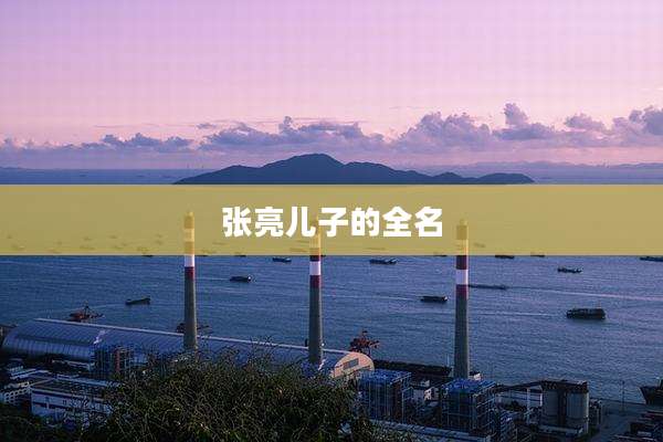 张亮儿子的全名