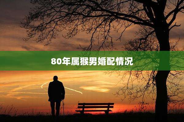 80年属猴男婚配情况