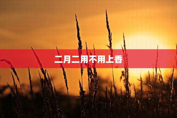 二月二用不用上香