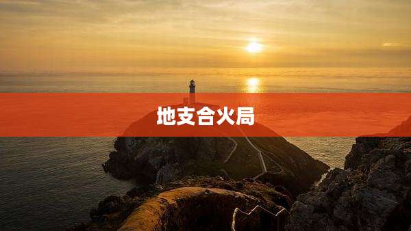 地支合火局