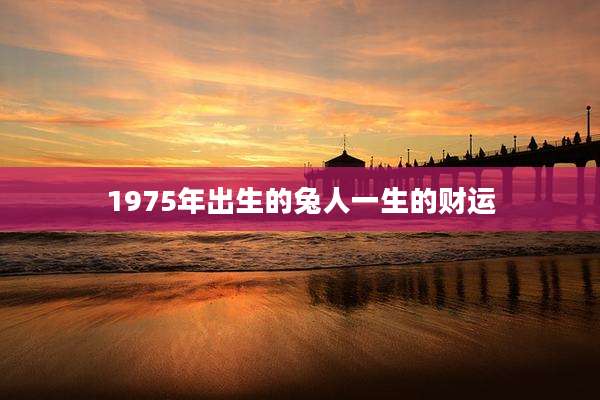 1975年出生的兔人一生的财运