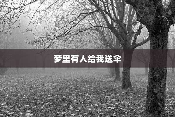 梦里有人给我送伞