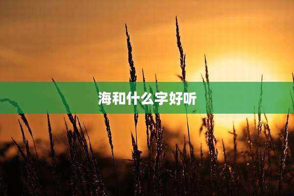 海和什么字好听