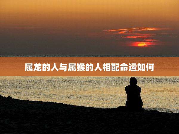 属龙的人与属猴的人相配命运如何