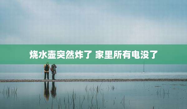 烧水壶突然炸了 家里所有电没了