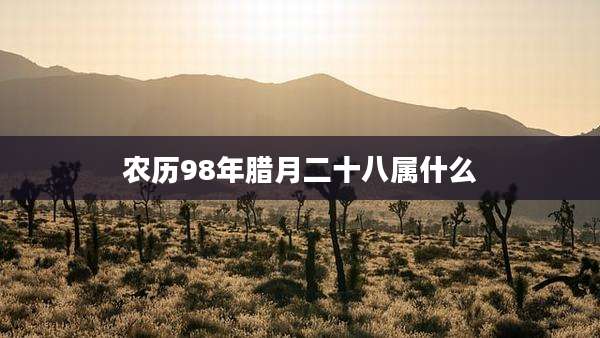 农历98年腊月二十八属什么