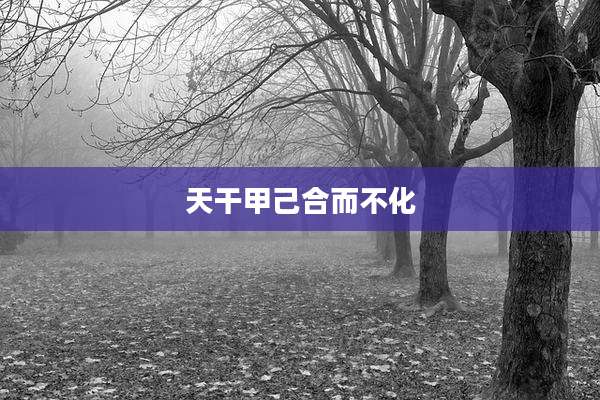 天干甲己合而不化