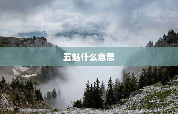五魁什么意思