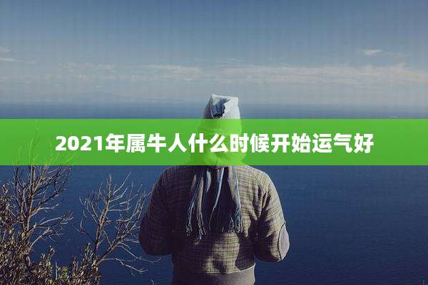 2021年属牛人什么时候开始运气好
