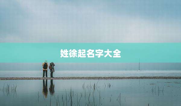 姓徐起名字大全