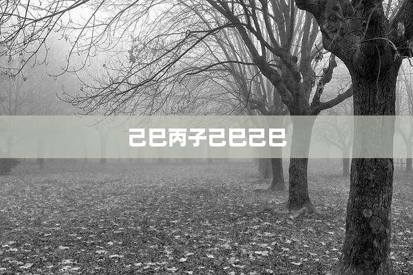 己巳丙子己巳己巳