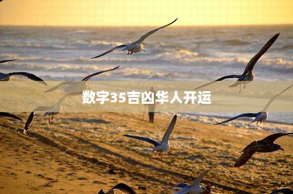 数字35吉凶华人开运