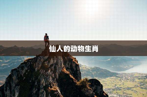 仙人的动物生肖