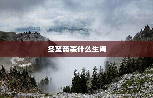 冬至带表什么生肖