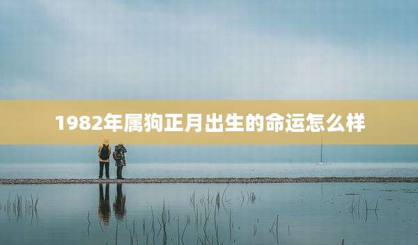 1982年属狗正月出生的命运怎么样