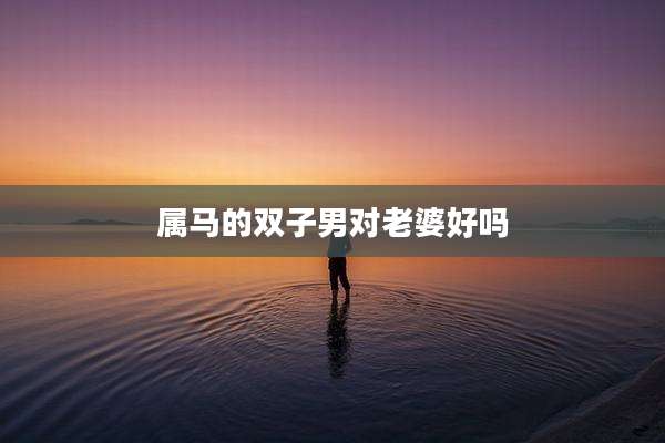 属马的双子男对老婆好吗