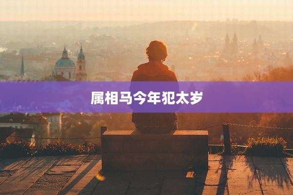 属相马今年犯太岁