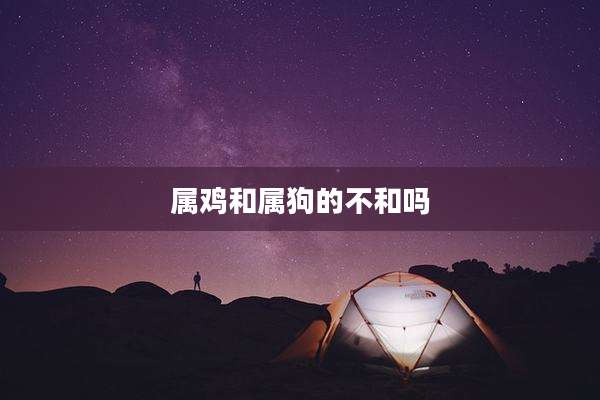 属鸡和属狗的不和吗