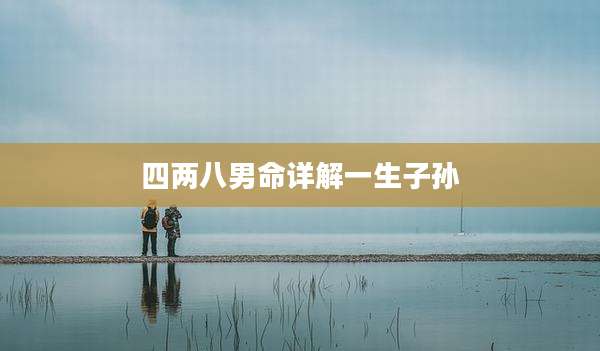 四两八男命详解一生子孙