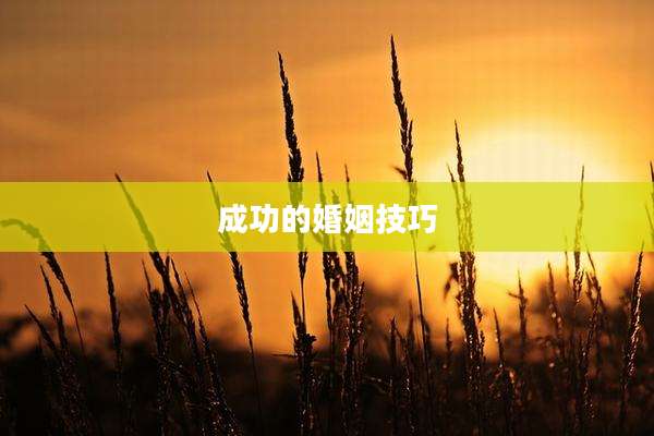 成功的婚姻技巧