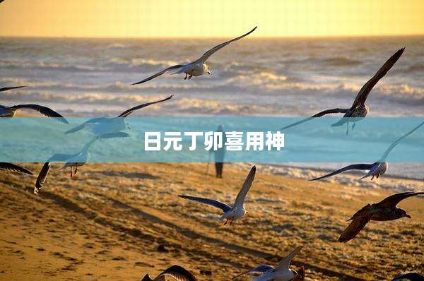 日元丁卯喜用神