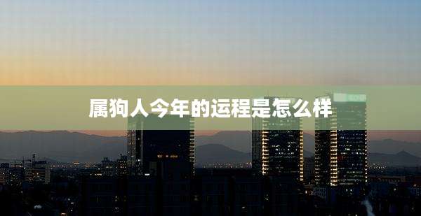属狗人今年的运程是怎么样