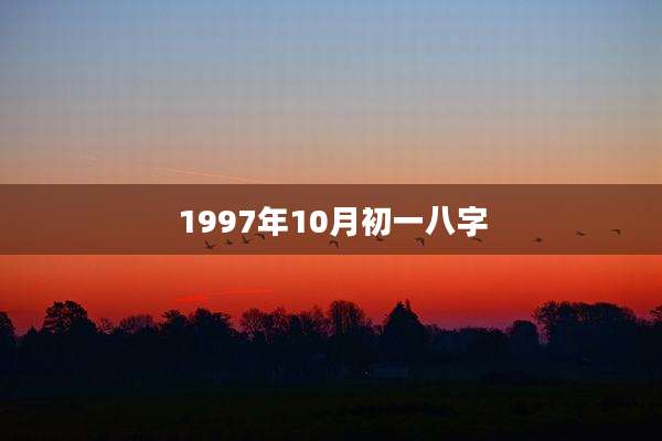 1997年10月初一八字
