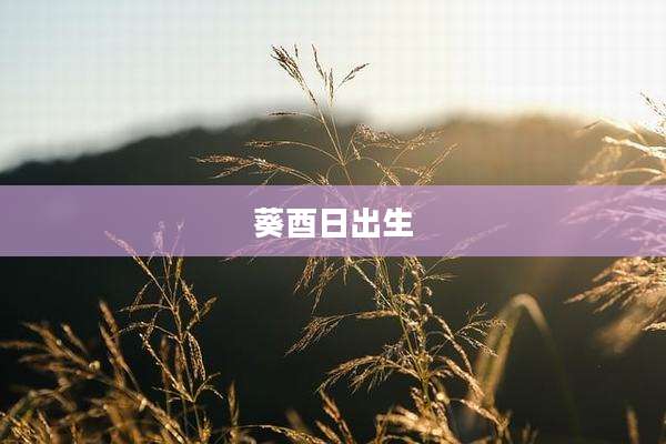 葵酉日出生