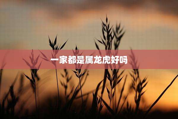 一家都是属龙虎好吗