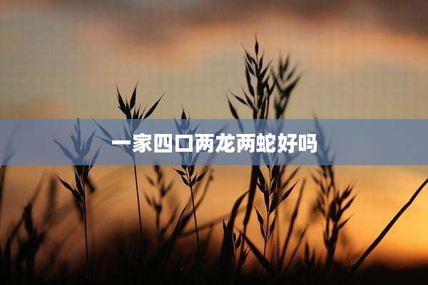 一家四口两龙两蛇好吗