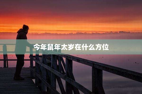 今年鼠年太岁在什么方位