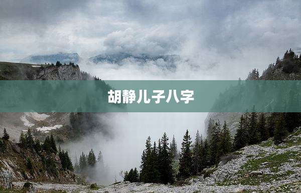 胡静儿子八字
